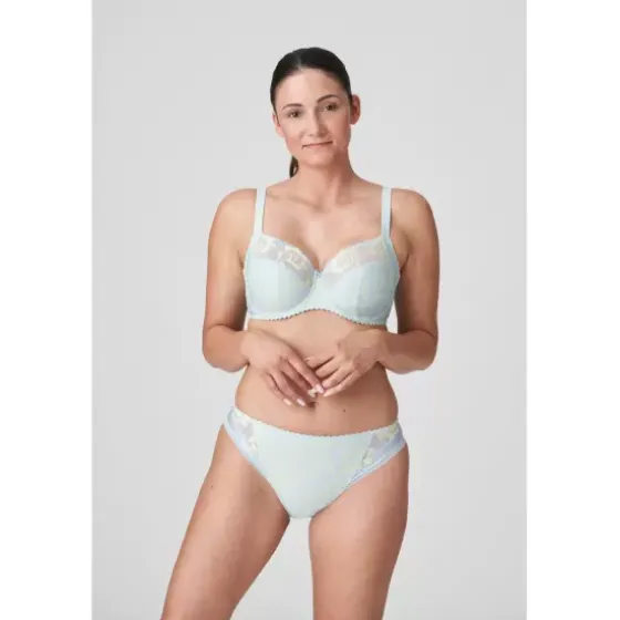 Nuzha Tai Brief, Cloud